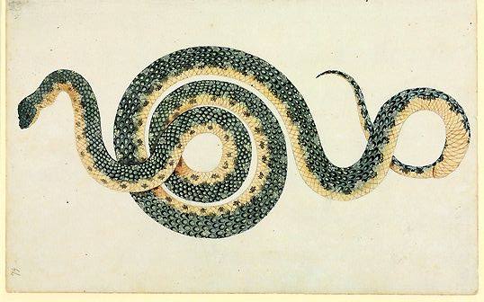 20604593_531955920529492_8639007388119835744_n