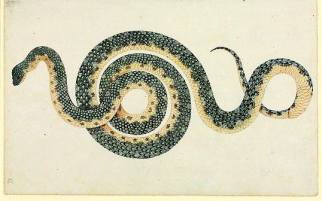 20604593_531955920529492_8639007388119835744_n