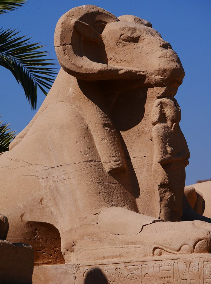 44760771_2299505856944137_1966168021596635136_n